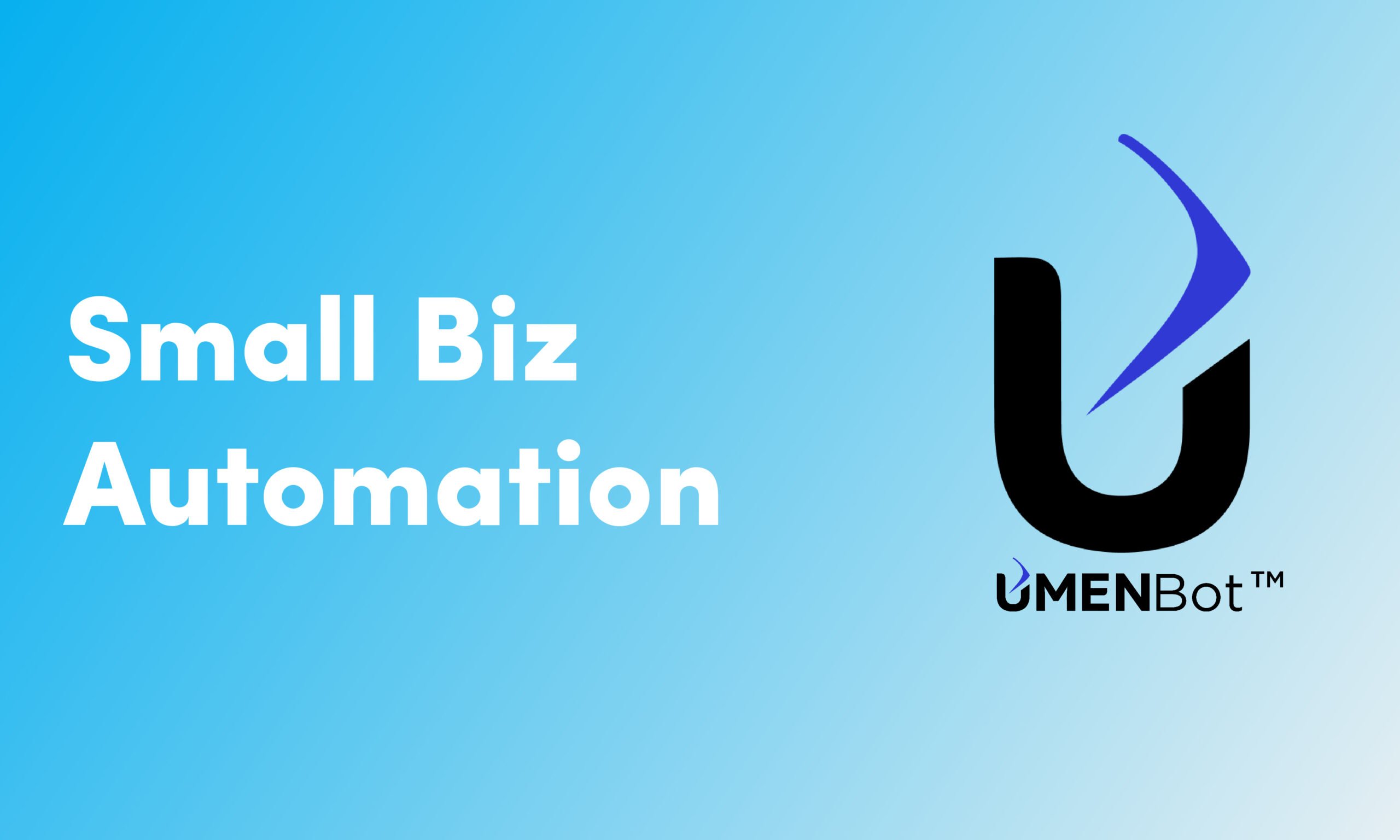 Small Biz Automation